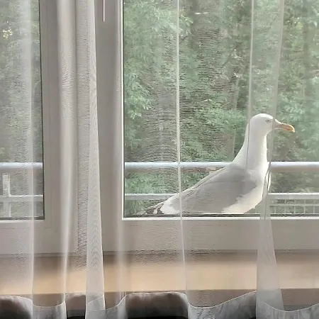 Podczele Tarsis 코워브제크