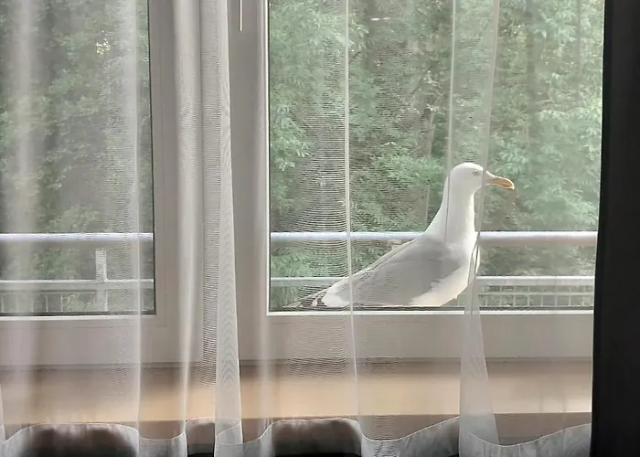 Podczele Tarsis كولوبرزيغ